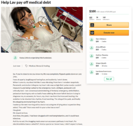Lav GoFundMe post 1.PNG