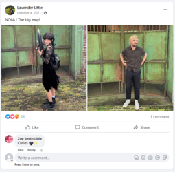 Lav GoFundMe Facebook 2.PNG