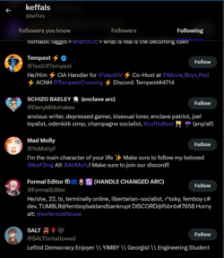 follow.png