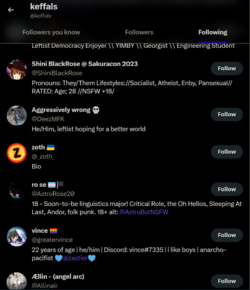follow1.png