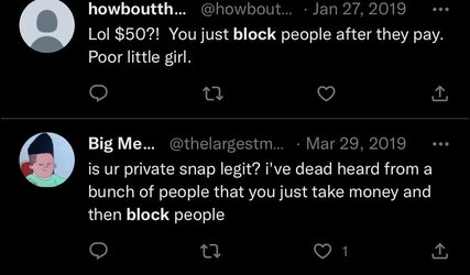 Lav SCAM 5.jpg