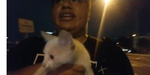 mexicancatandy2.png