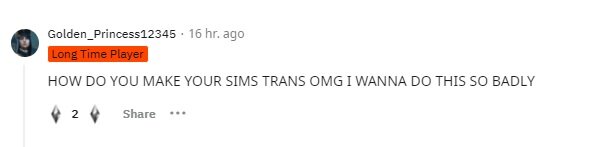 trans8.jpg