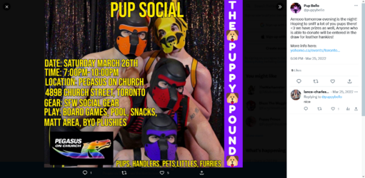 Screenshot 2023-03-20 at 18-01-05 Pup Bello (@puppybello) _ Twitter.png