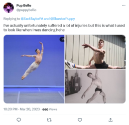 Screenshot 2023-03-21 at 03-34-39 Pup Bello on Twitter.png