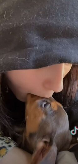 Lav dog deepthroat.jpg