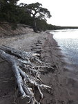 20170622_214334.jpg