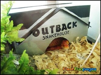 outback-snake-house.jpg