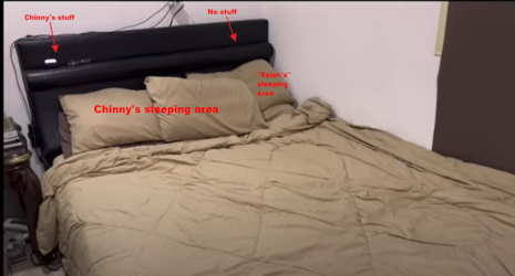1679450869479.png