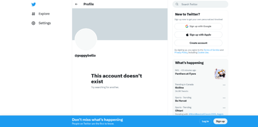 Screenshot 2023-03-21 at 23-43-57 Profile _ Twitter.png