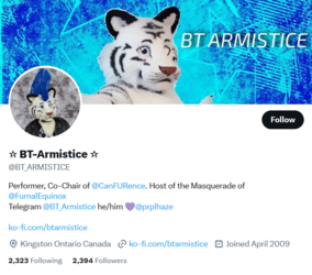Screenshot 2023-03-22 at 00-13-48 ☆ BT-Armistice ☆ (@BT_ARMISTICE) _ Twitter.png