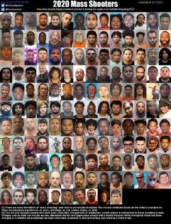 2020 mass shooters.jpg