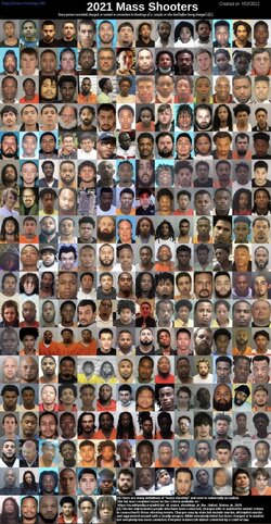2021 mass shooters.jpg