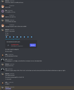 Lav using nudes to bait Discord.png