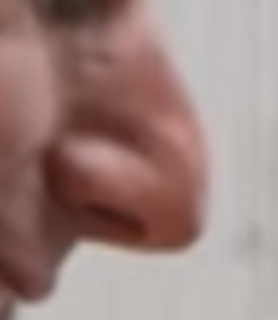 the nose.png