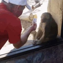 monkey-trick.gif