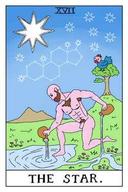 the star.png
