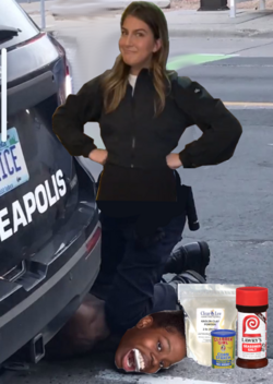 SeasoningPoliceHiFi.png