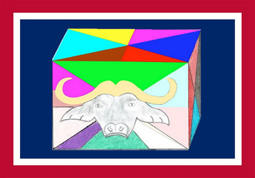 Wyoming-cube-flag.png