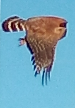 1679843594164.png