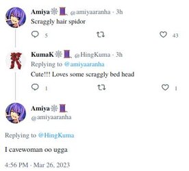 ami.jpeg