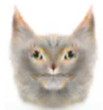 caac.png