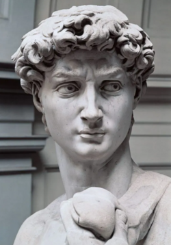 1679861918755.png