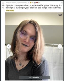 1679864259420.png