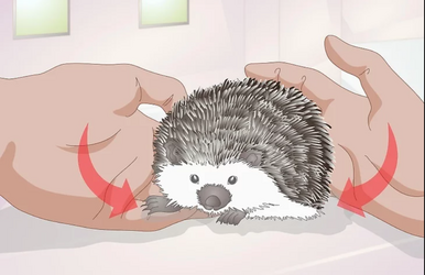 hamdling.png