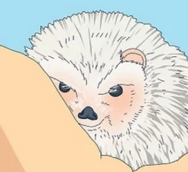 evilhog.png
