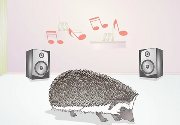 muzik.png