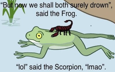 fetchimage.jpeg