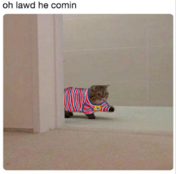 1679941120566.png