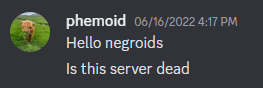 Nigga 1.PNG