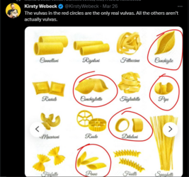 real vulvas.PNG
