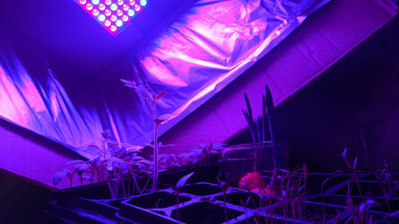 Growing_Setup2.jpg