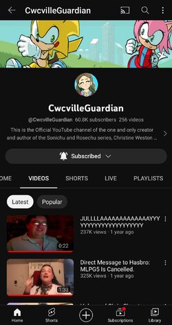 Screenshot_20230328-173013_YouTube.jpg