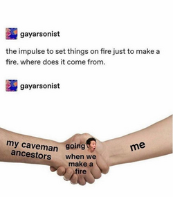 1680058197311.png