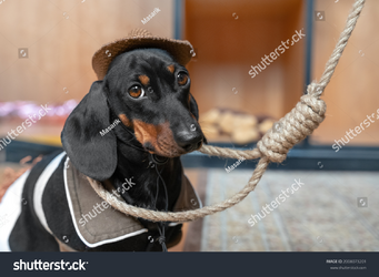 1680075686022.png