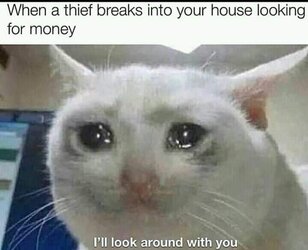 crycat.jpg