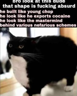6BA90834-0077-49C2-B777-EA43CF3181F1.jpeg