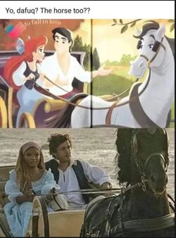 horse.jpg