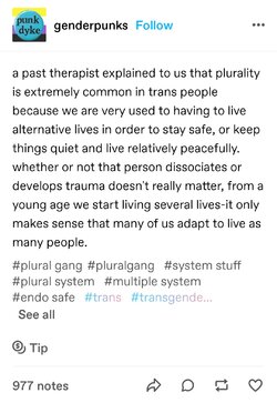 Screenshot_20230330_144241_Tumblr.jpg