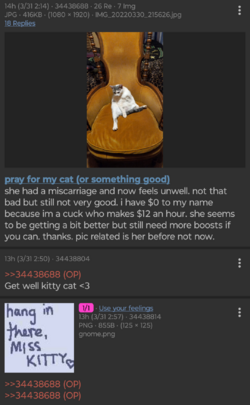 Screenshot_20230331-163226.png