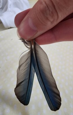 20230331_171010.jpg