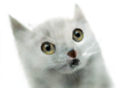 100iterationcat.png