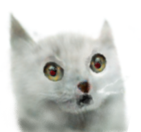 else.png