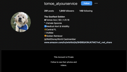 Screen Shot 2022-12-27 at 2.28.50 AM.png