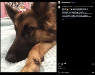 Screen Shot 2022-12-27 at 4.29.54 AM.png