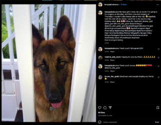 Screen Shot 2022-12-27 at 5.44.42 AM.png